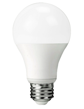 Bulb